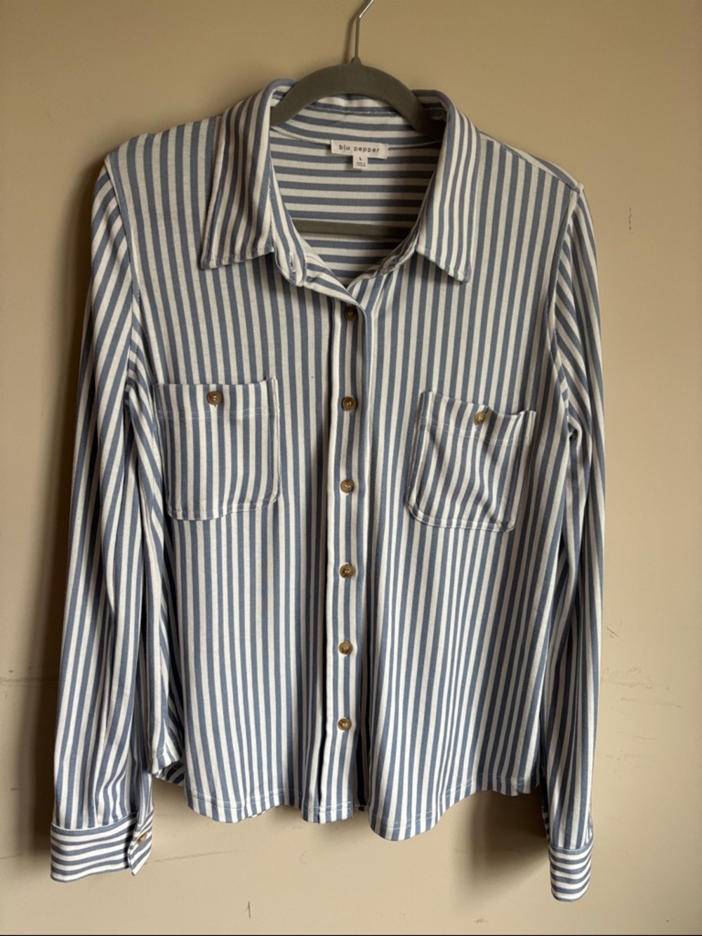 Blu Pepper Blue and White Striped Shirt